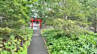 亀田八幡宮(北海道)