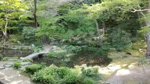 法然院の庭園