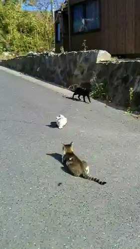 美與利大明神の周辺