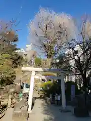 鳩森八幡神社の鳥居