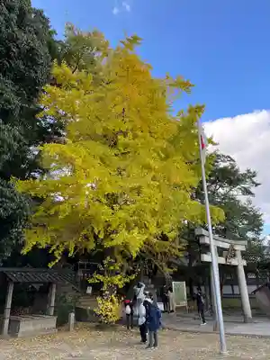 高良神社(京都府)