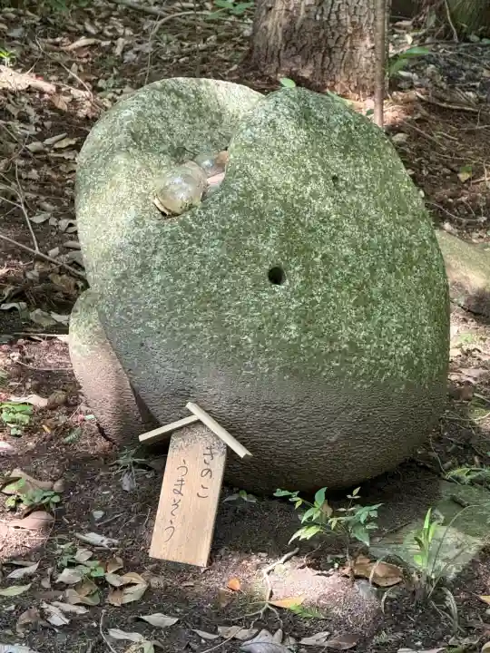五所駒瀧神社(茨城県)