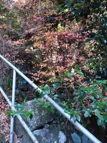 国造神社(熊本県)