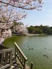 橿原神宮(奈良県)