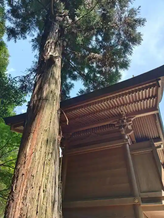 諏訪神社(兵庫県)