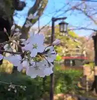 三嶋大社(静岡県)