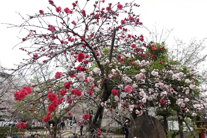 首途八幡宮(京都府)