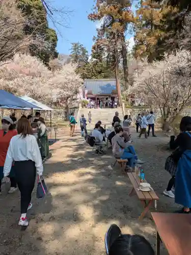 千代ケ岡八幡宮(栃木県)