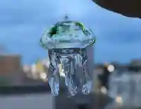 白山神社(新潟県)