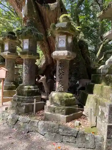 春日大社(奈良県)