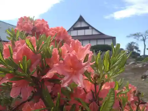 雨竜　専福寺の自然