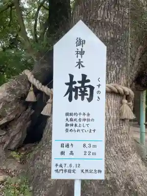 大麻比古神社(徳島県)