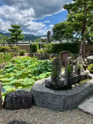 飛鳥寺(奈良県)