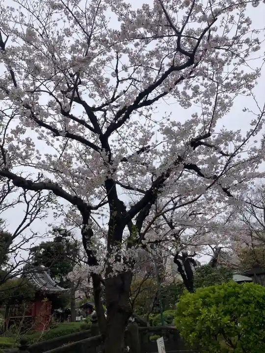 浅草寺(東京都)