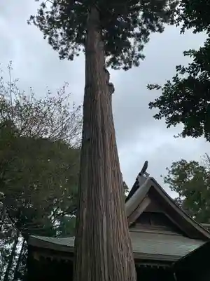 素鵞神社の自然