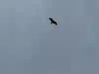 西方山極楽寺(岐阜県)