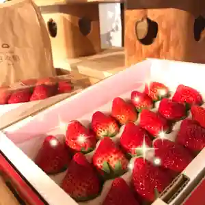 高司神社〜むすびの神の鎮まる社〜(福島県)(2022年03月04日(金) 09時37分28秒投稿)