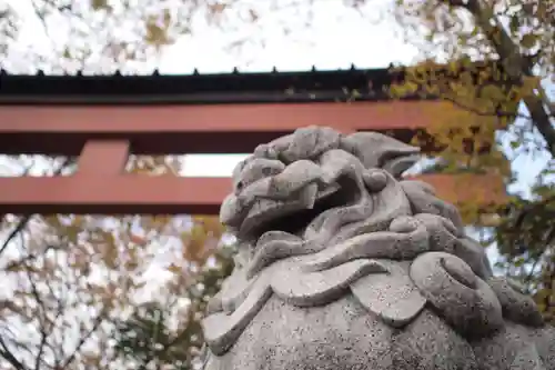 武蔵一宮氷川神社の狛犬