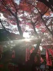 紅葉八幡宮の建物その他