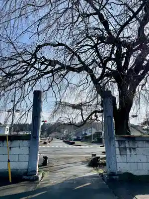 台林寺(栃木県)