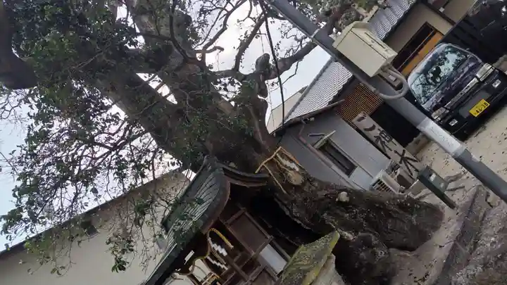 櫟谷七野神社(京都府)