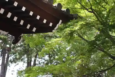 東福禅寺（東福寺）(京都府)