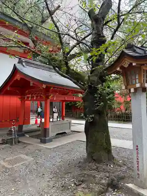 花園神社(東京都)