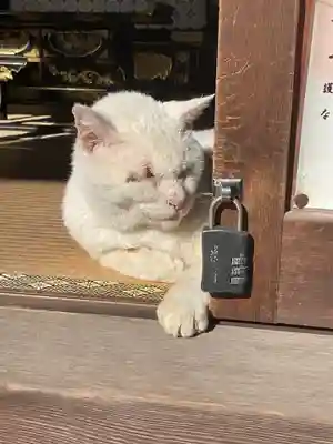 宝寿院(愛知県)