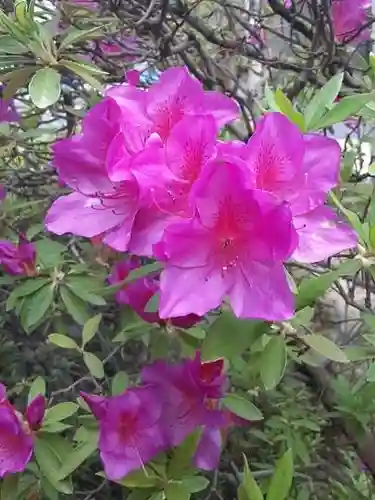 西方山極楽寺(岐阜県)