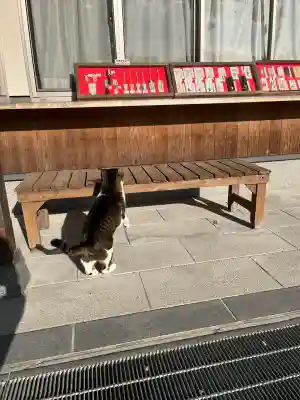 一宮神社(福岡県)