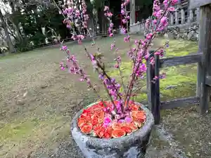 丹生都比売神社(和歌山県)(2023年04月24日(月) 14時23分08秒投稿)