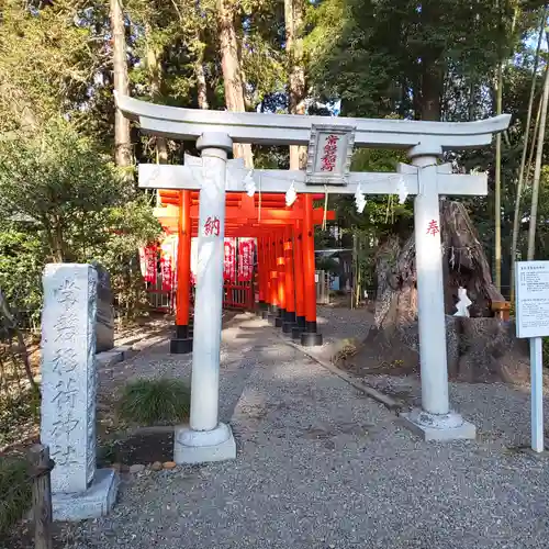 常磐神社の鳥居