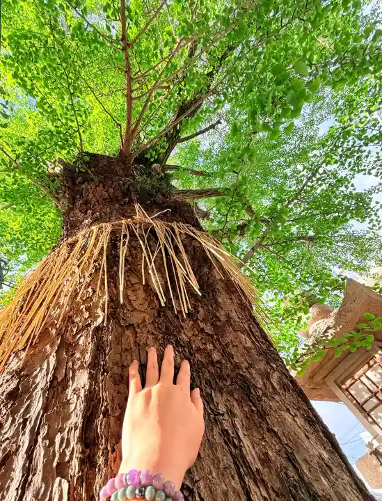 河内國魂神社の{uncategorized: "未分類", other: "その他", undefined: "問題あり", building: "その他建物", grave: "お墓", sacred_gate: "鳥居", guardian: "狛犬", statue: "像", buddha: "仏像", history: "歴史", nature: "自然", garden: "庭園", animal: "動物", pagoda: "塔", temizu: "手水舎", mountain_gate: "山門・神門", sanctuary: "本殿・本堂", subordinate: "末社・摂社", art: "芸術", scenery: "景色", jizo: "地蔵", ema: "絵馬", goshuin: "御朱印", omikuji: "おみくじ", items: "授与品その他", amulet: "お守り", goshuincho: "御朱印帳", eats: "食事", festival: "お祭り", votive_dance: "神楽", shichigosan: "七五三参", wedding: "結婚式", experience: "体験その他", initially: "初詣", around: "周辺", anti_infection: "感染症対策"}