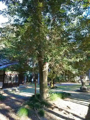鎌形八幡神社の{uncategorized: "未分類", other: "その他", undefined: "問題あり", building: "その他建物", grave: "お墓", sacred_gate: "鳥居", guardian: "狛犬", statue: "像", buddha: "仏像", history: "歴史", nature: "自然", garden: "庭園", animal: "動物", pagoda: "塔", temizu: "手水舎", mountain_gate: "山門・神門", sanctuary: "本殿・本堂", subordinate: "末社・摂社", art: "芸術", scenery: "景色", jizo: "地蔵", ema: "絵馬", goshuin: "御朱印", omikuji: "おみくじ", items: "授与品その他", amulet: "お守り", goshuincho: "御朱印帳", eats: "食事", festival: "お祭り", votive_dance: "神楽", shichigosan: "七五三参", wedding: "結婚式", experience: "体験その他", initially: "初詣", around: "周辺", anti_infection: "感染症対策"}
