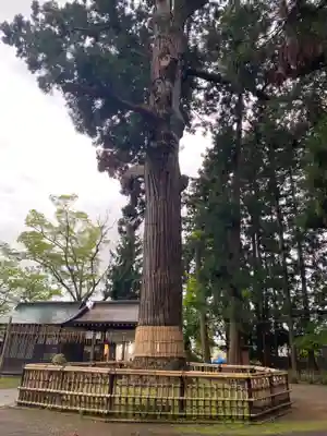日高神社(岩手県)