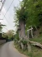 稲荷神社(千葉県)