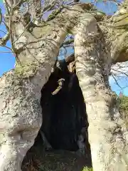 高尾神社の自然