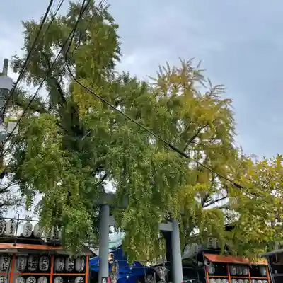 波除神社（波除稲荷神社）の鳥居