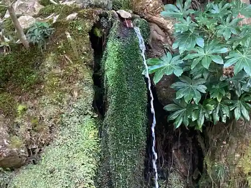 慈照寺（慈照禅寺・銀閣寺）のその他建物