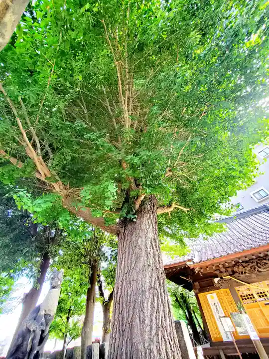 晴門田神社(福島県)