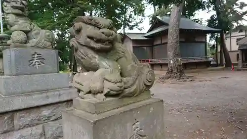 下高井戸八幡神社の狛犬
