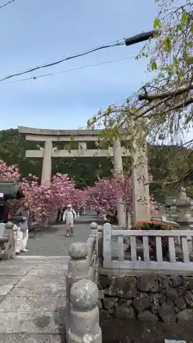 伊香具神社(滋賀県)