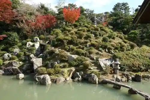 根来寺 智積院の庭園