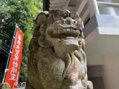 持寳院(多気山不動尊)の狛犬