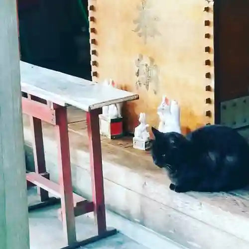 息栖神社の動物