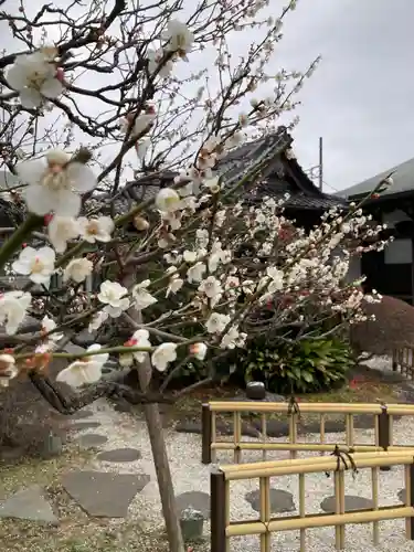 星谷寺(神奈川県)