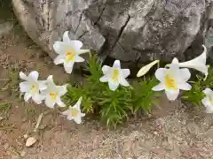 海蔵寺(愛知県)