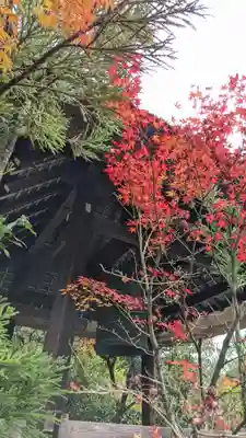 光悦寺(京都府)