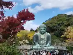 高徳院の仏像