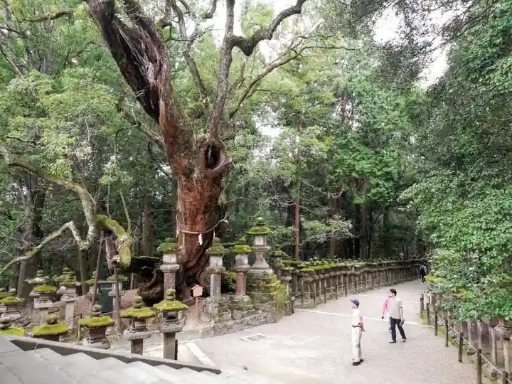 春日大社のその他建物